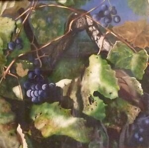 Close-up of ripe grapes on a vine with green leaves.